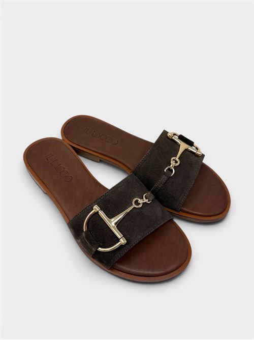 Lightbrown