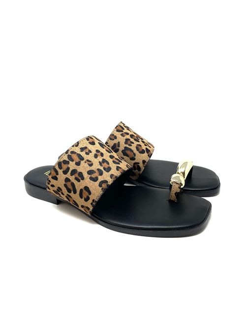 Leopardo